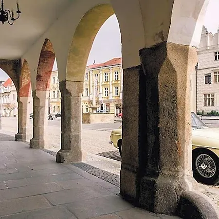 Pivonka