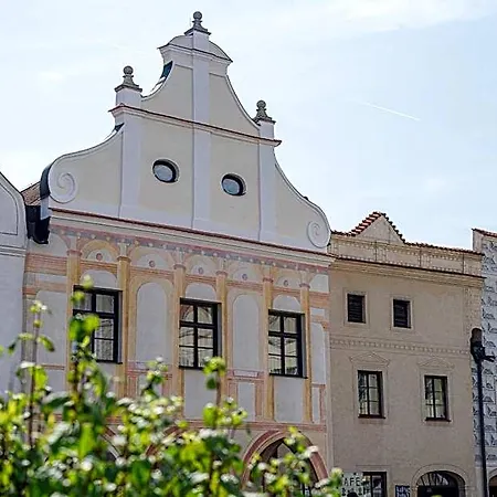 Pivonka 3*